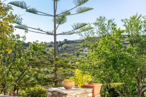 Traditionele villa, 1 slaapkamer | Terrein van de accommodatie