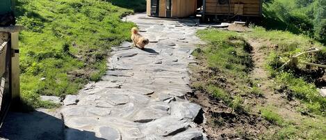 Enceinte de l’hébergement