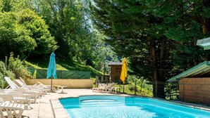 Une piscine entourée d’arbres, avec des chaises longues et des parasols.