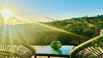 Suite Junior, vue jardin | Terrasse/Patio