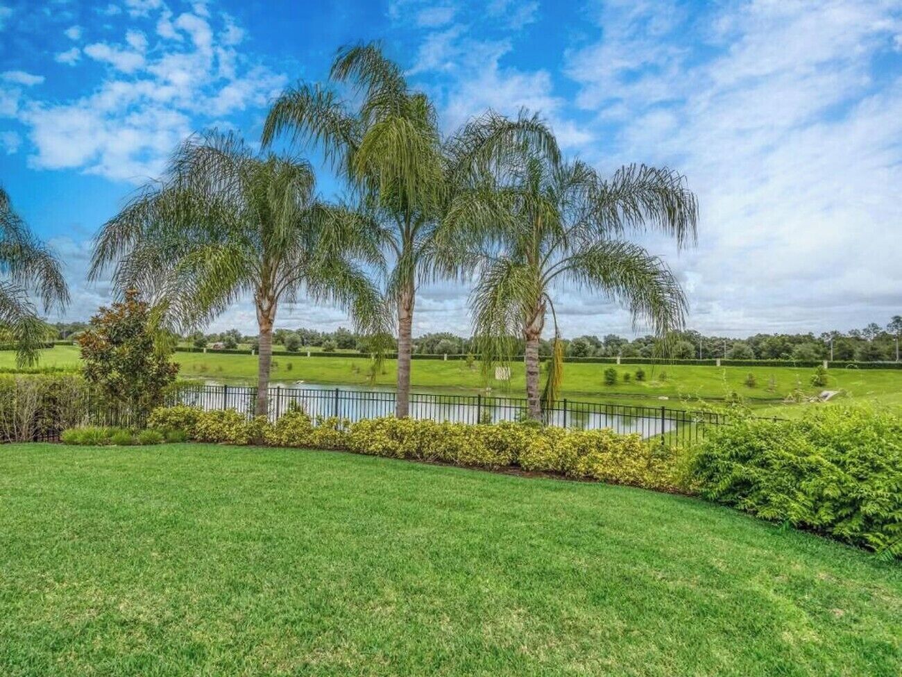 A well-maintained grassy area with palm trees and a fenced pond.