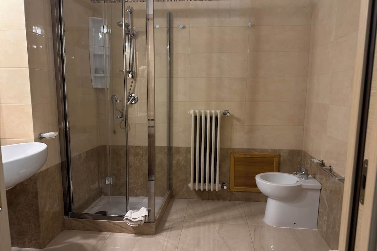 Deluxe Triple Room | Bathroom | Shower, hair dryer, towels, soap