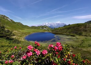 Luokittelematon kuva, 4 kautta 12, painike