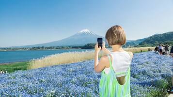 Una persona fotografiando con un teléfono inteligente, con vistas a un campo de flores azules y un lago con una montaña al fondo.