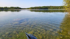 Ein ruhiger See mit klarem Wasser, umgeben von dichtem Wald.