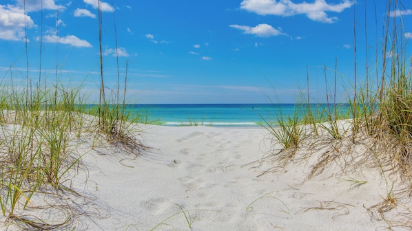 Una spiaggia nelle vicinanze