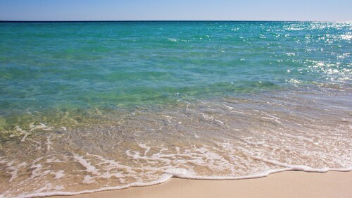 Come Enjoy Some Seawaves! 2BR 2.5ba Sleeps 8! Coastal Townhome W/beachview!