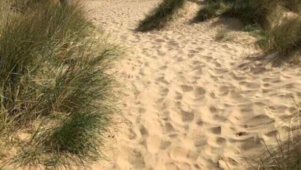 Una playa arenosa con dunas y un cielo despejado.
