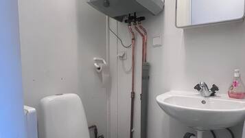 Shower, towels, toilet paper