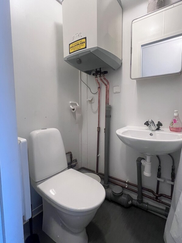 Shower, towels, toilet paper