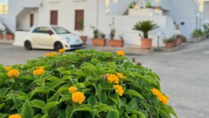 Valkoinen rakennus, jossa on useita ikkunoita, ja valkoinen auto on pysäköity sen eteen.
