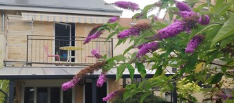 Country House “Boulzicourt 08410” with Shared Terrace, Garden, and Wi-Fi