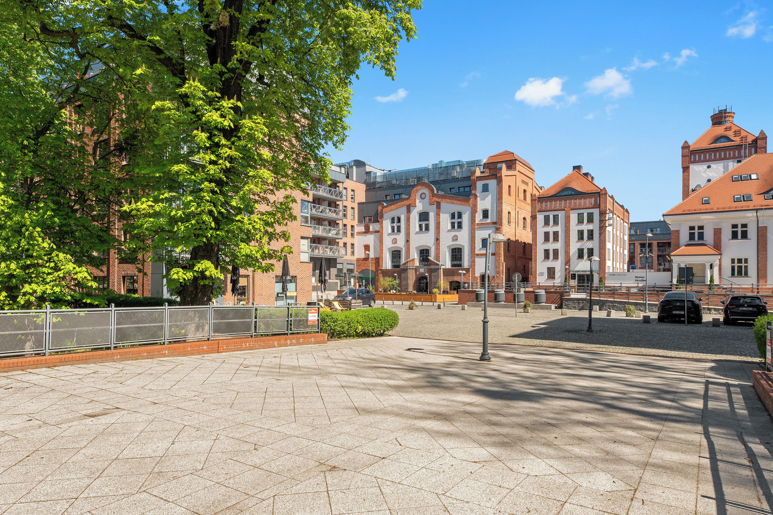 A paved square with historic buildings, a tree, and a fence.