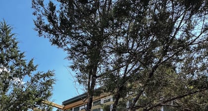 Tiny home in 10 acres with goats!