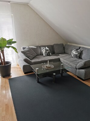 Living area - Deluxe vacation apartment / near Willingen (Korbach)