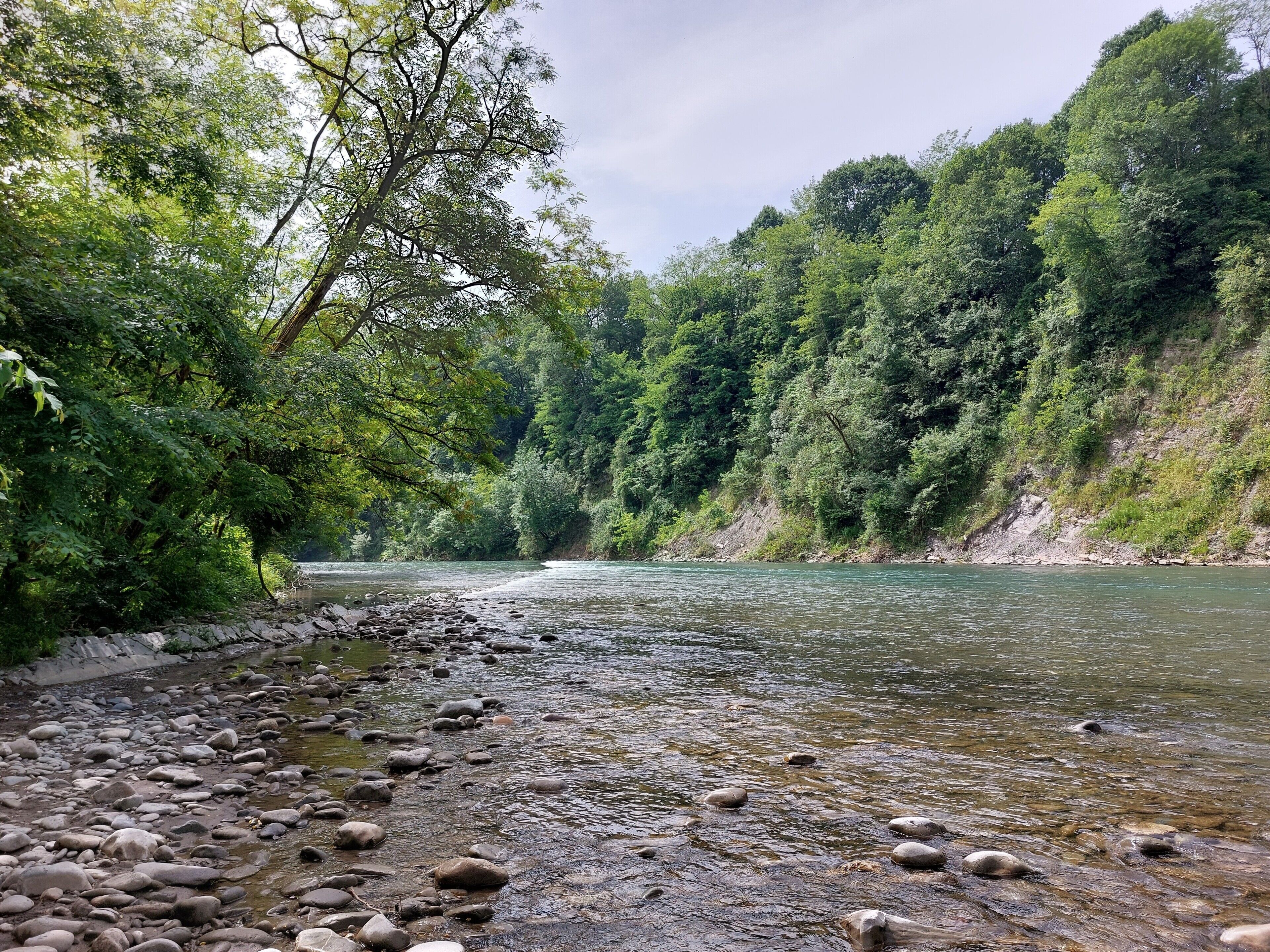 Une rivière bordée de rochers et d’une végétation luxuriante de chaque côté.