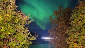 A nighttime view of a grassy area with trees and a body of water in the background. - Cosy and charming  2-bedroom apartment in delightful Fauske for 1-6 persons (Fauske)