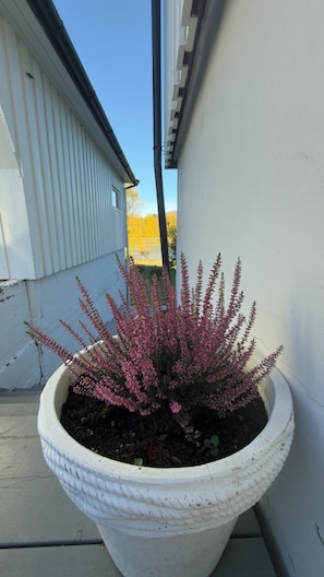 Detalle exterior