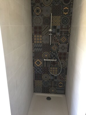 Shower, hair dryer, soap, toilet paper