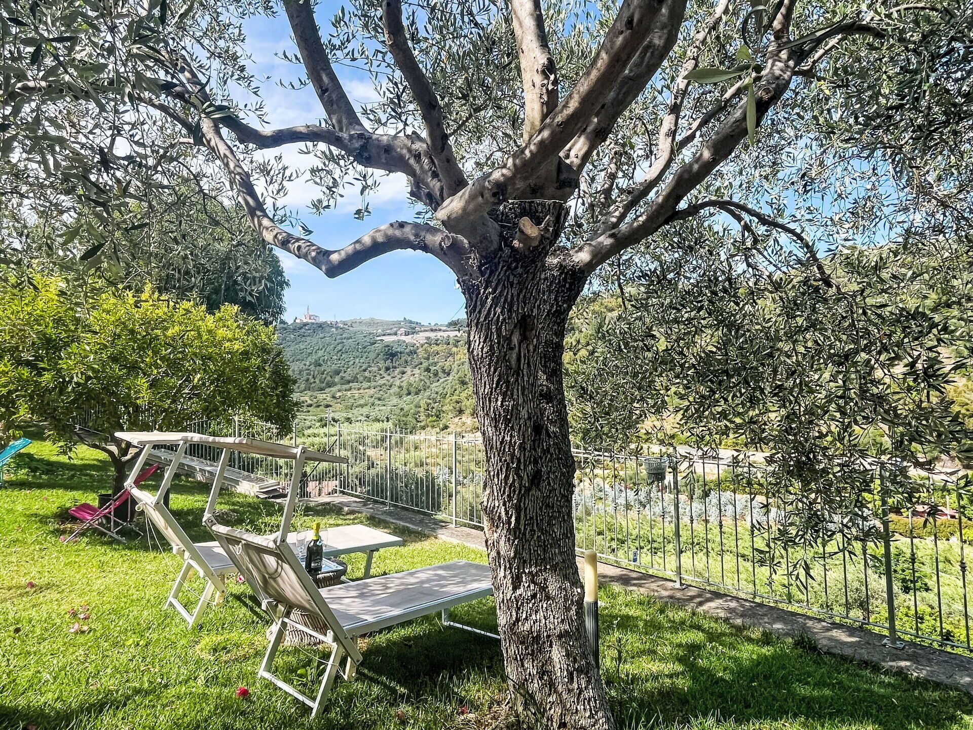 Ein Baum mit einer Bank und einem Tisch in einer grünen Wiese.
