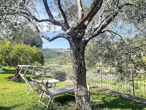 A tree with a bench and a table in a grassy area. - Beautiful apartment for 4 people with WIFI, A/C, patio and panoramic view (Finale Ligure)