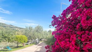A paved pathway with a row of vibrant pink flowers on one side, a clear blue sky, and a hilly landscape in the background. - Beautiful apartment for 4 people with A/C, WIFI, patio and panoramic view (Finale Ligure)