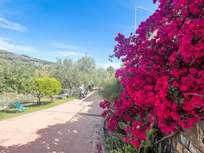Een verhard pad met een rij levendige roze bloemen aan één kant, een helderblauwe lucht en een glooiend landschap op de achtergrond.