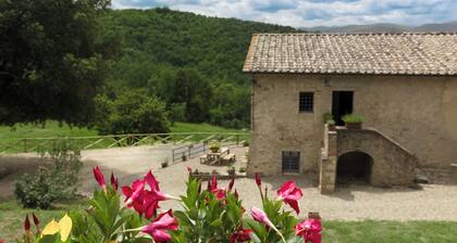 Tenuta della Selva