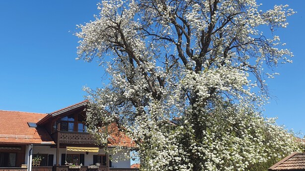 A traditional building with a sloped roof and a balcony. - Sunny top-floor apartment with panoramic balcony & mountain views (Greiling)