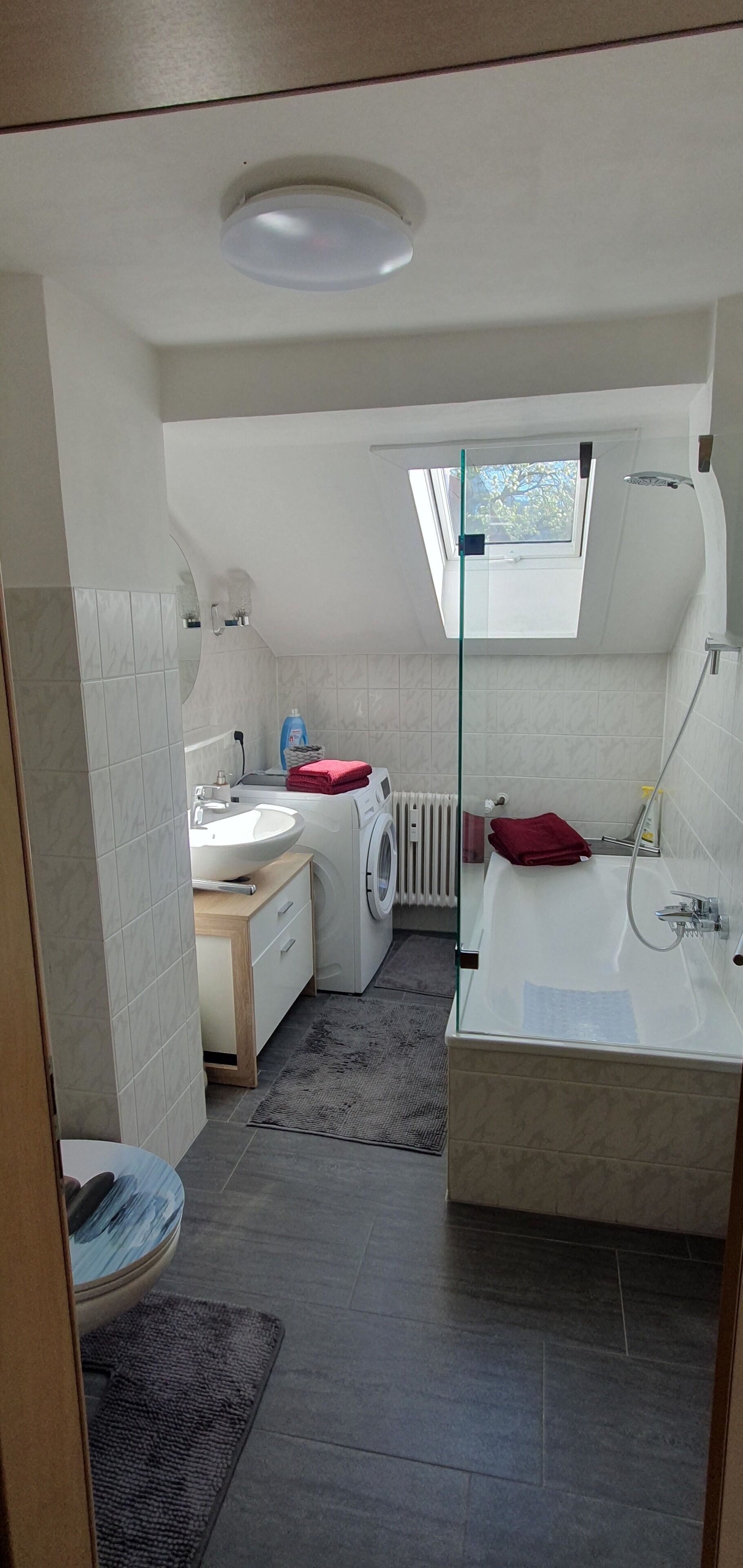 Haartrockner, Handtücher, Seife, Toilettenpapier