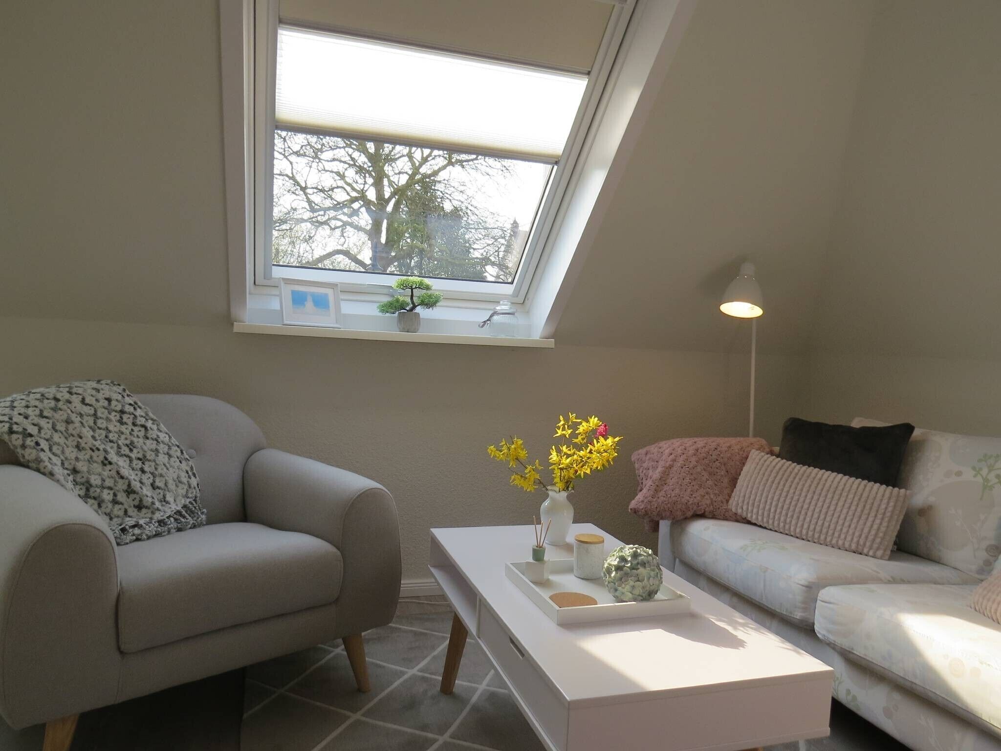 Télévision, chaîne hi-fi