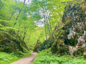 Botón de imagen sin clasificar, 4 de 45