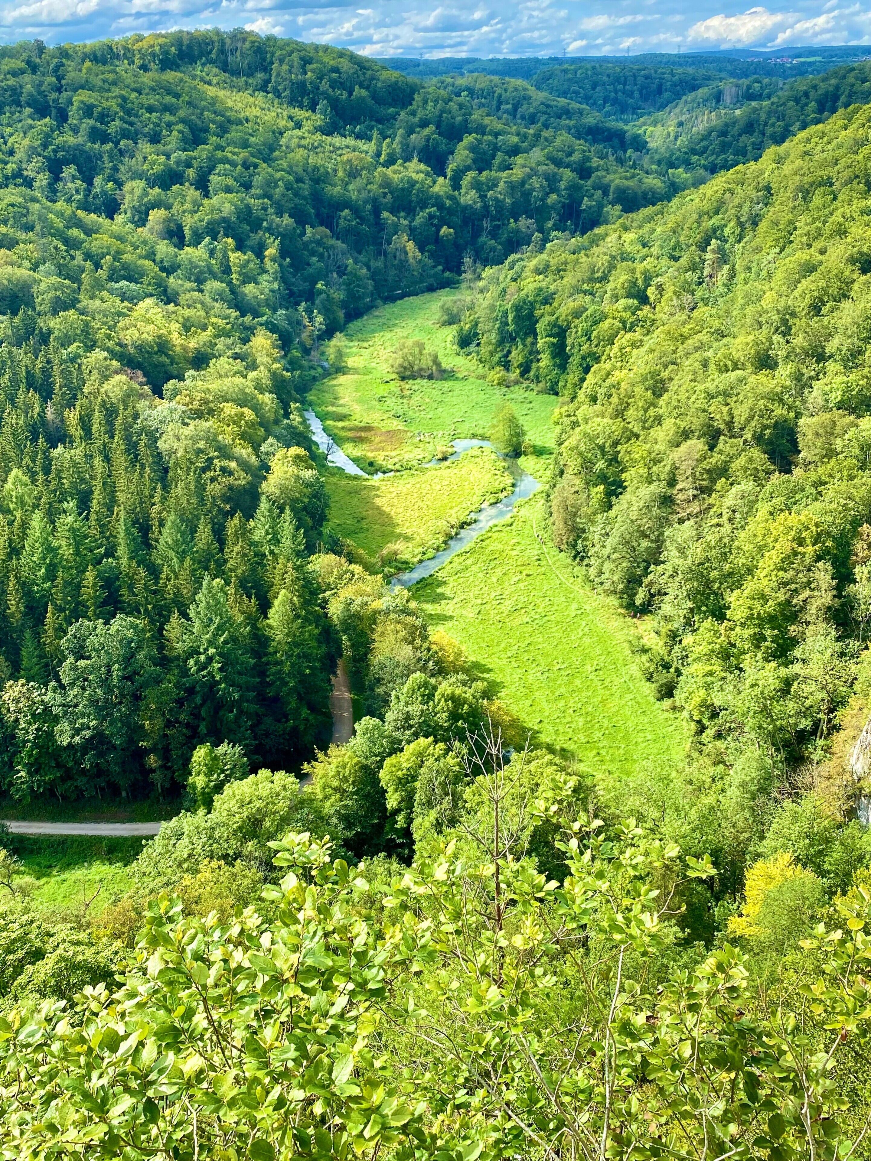 A lush green valley with a river, dense forest, and rolling hills.