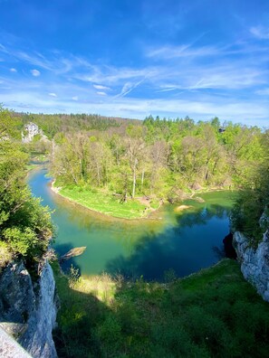 Botón de imagen sin clasificar, 3 de 45