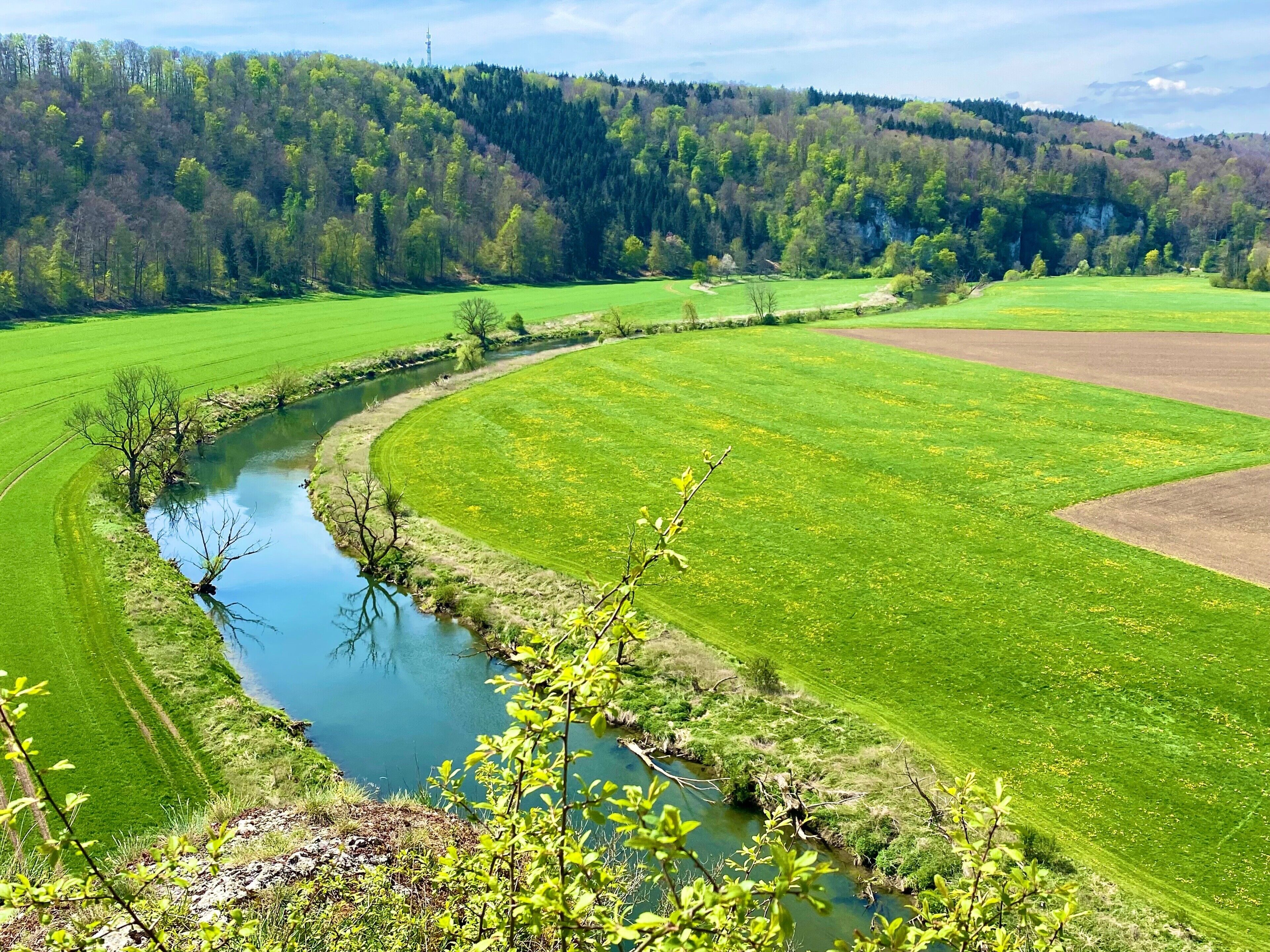 Ein Fluss schlängelt sich durch ein üppiges, grünes Feld, im Hintergrund ist ein bewaldeter Hügel zu sehen.