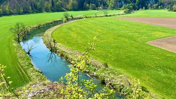 Ein Fluss schlängelt sich durch ein üppiges, grünes Feld, im Hintergrund ist ein bewaldeter Hügel zu sehen.