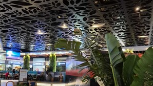 Un intérieur moderne avec un design de plafond original, un plancher en bois et des plantes d’intérieur.