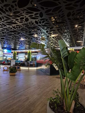 A modern interior with a unique ceiling design, wooden flooring, and indoor plants. - High-end and cozy studio apartment with a pool and close to the beaches. (Florianópolis)