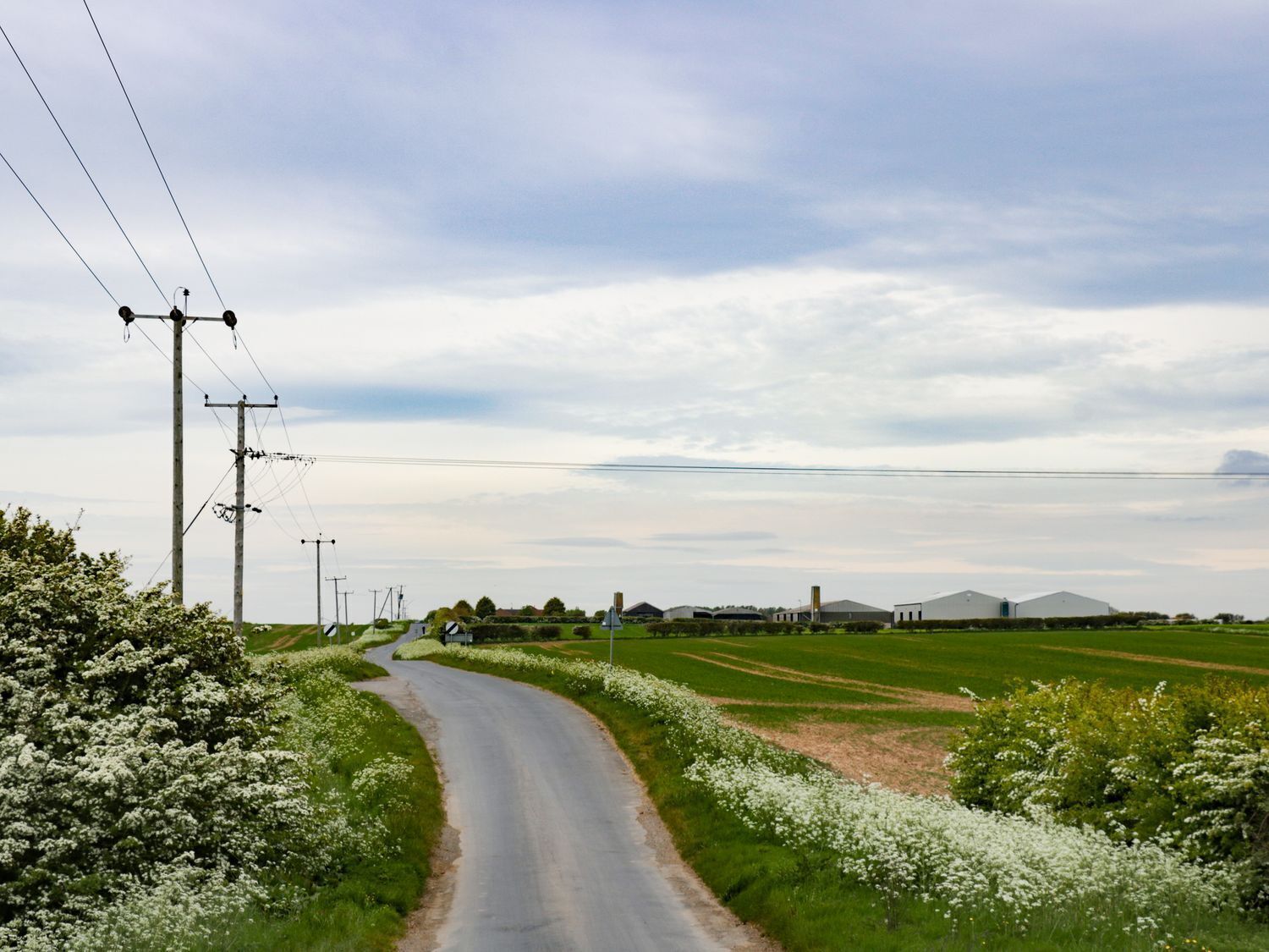A rural road curving through fields with power lines overhead.