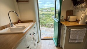 Una cocina con pileta, muebles de madera, una puerta verde que da al exterior y vista al campo.