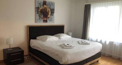 2BR apartment near the lake / city center D6
