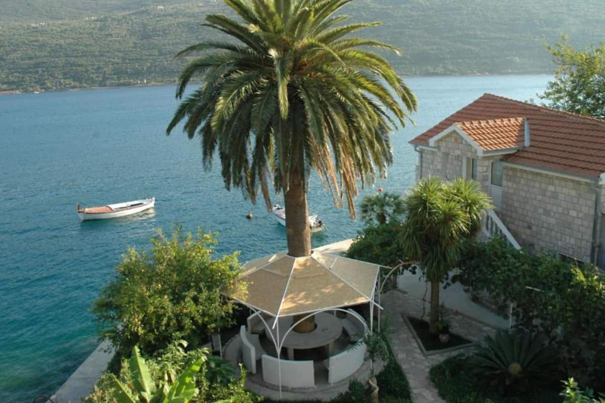 A coastal property with a view of the sea, a boat, and a palm tree.