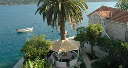 Apartments Roza