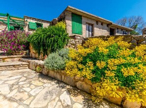 A stone pathway leading to a rustic building with green shutters and a stone wall adorned with yellow and green foliage. - Holiday Home Kuzmino (Primosten)