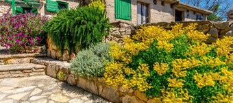 Holiday Home Kuzmino