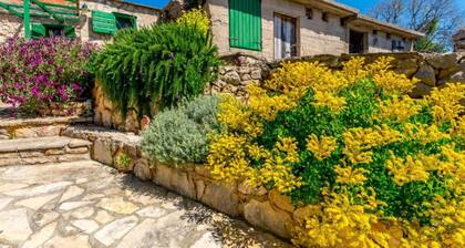 Holiday Home Kuzmino