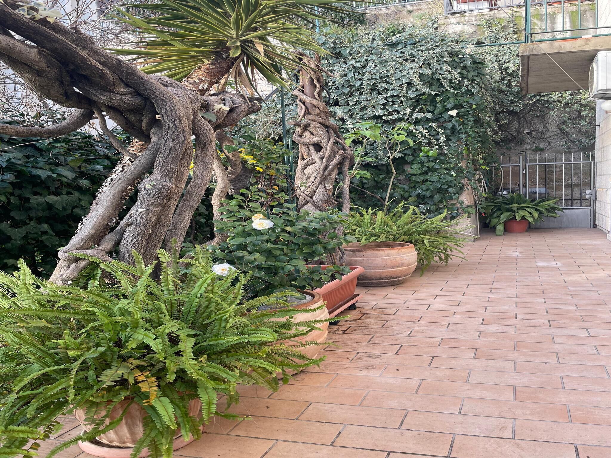 Apartment (Three Bedroom Apartment with Sea View) | Terrace/patio