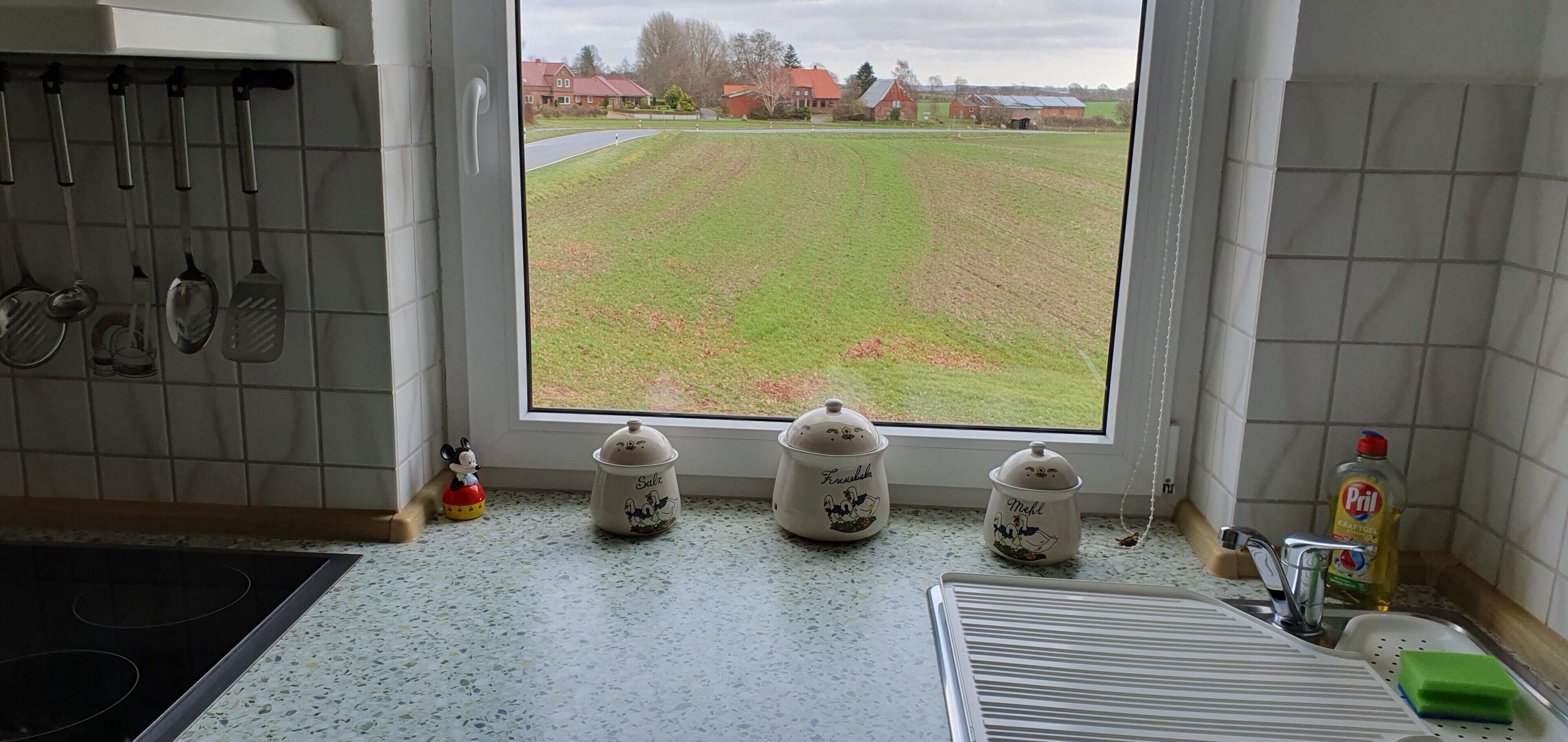 Eine Küche mit Blick auf ein grünes Feld, einem Spülbecken und verschiedenen Küchenutensilien.
