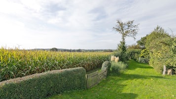Ländliche Landschaft mit einem Pfad, der durch ein Feld mit Feldfrüchten führt, begrenzt von einer Hecke und Bäumen.