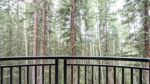 Et skovområde med høje træer og et gelænder i forgrunden.